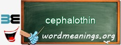 WordMeaning blackboard for cephalothin